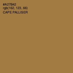 #A27B42 - Cape Palliser Color Image